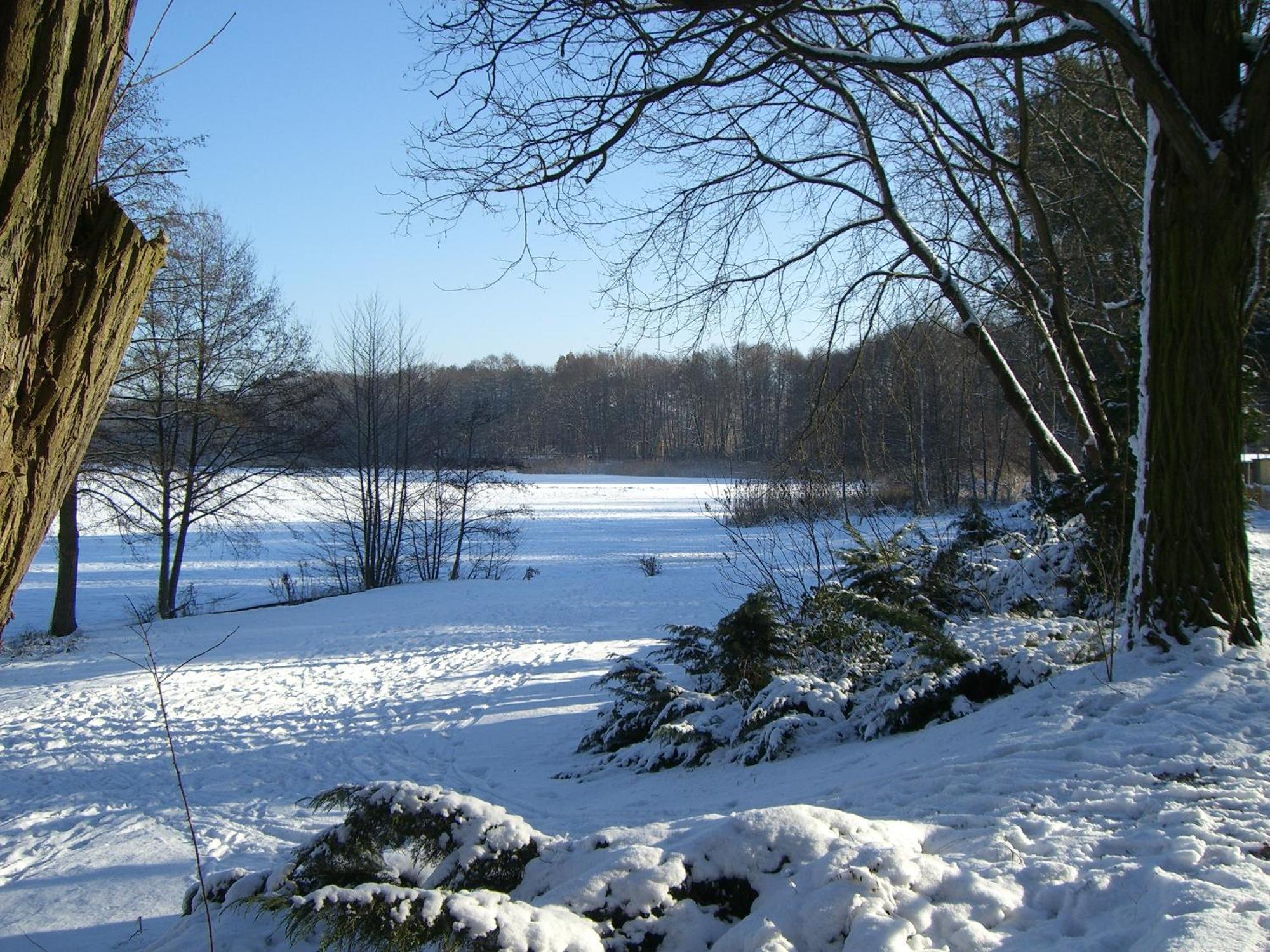 Ferienhaus Pirol Villa Zossen Exteriör bild